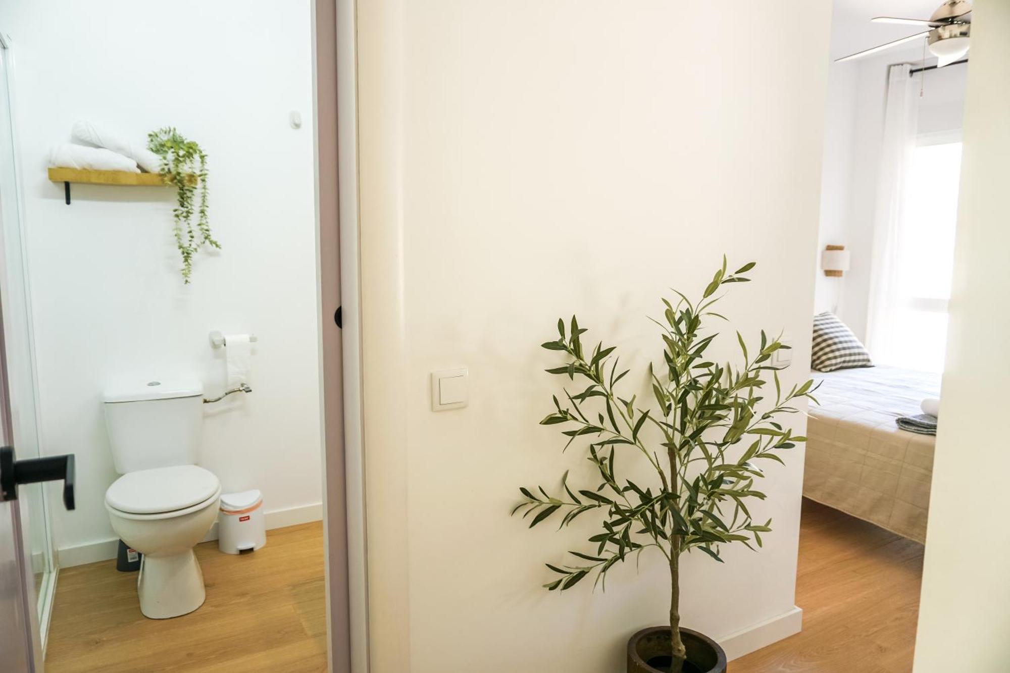 Apartamento El Olivo アリカンテ エクステリア 写真